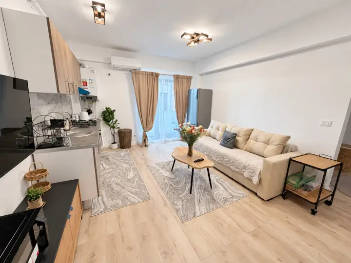Living cu bucătărie deschisă, Apartamentul 2